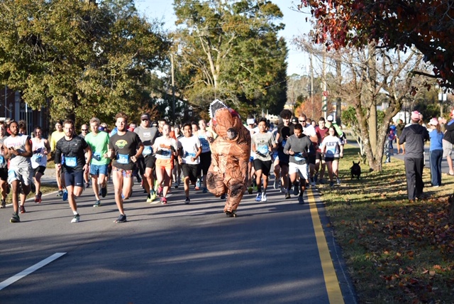 Harvest Run Photo 12